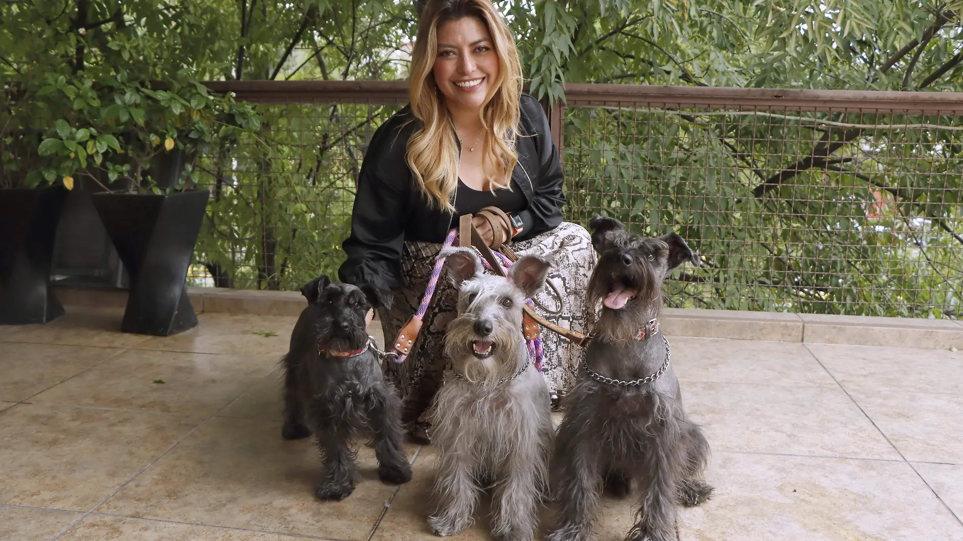 ALICIA SOLANO Y SUS PERROS EL GRIS WILLIAM, EL NEGRO JACK Y LAPERRITA ANASTACIA (20)